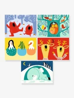 Cartes à Gratter Animaux à Découvrir DJECO Vert - Djeco 7 Cartes à Gratter Animaux à Découvrir DJECO Vert - Djeco -Mon Petit Monde Soldes cartes a gratter animaux a decouvrir djeco 3
