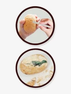 Maxi Pack 12 Oeufs Dinosaures - BUKI Orange - Buki 7 Maxi Pack 12 Oeufs Dinosaures - BUKI Orange - Buki -Mon Petit Monde Soldes maxi pack 12 oeufs dinosaures buki 2