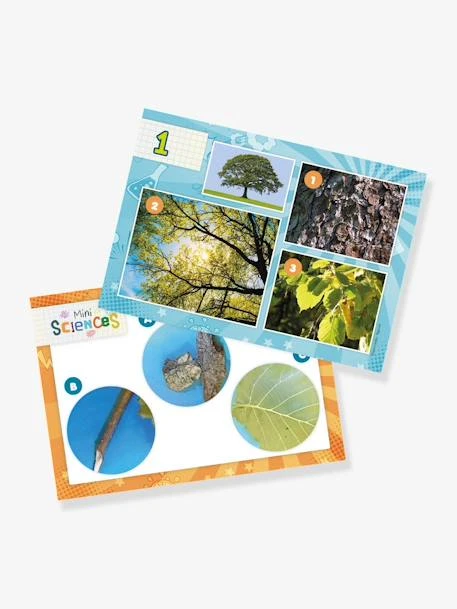 Mini Sciences - Microscope - BUKI Vert - Buki 3 Mini Sciences - Microscope - BUKI Vert - Buki – Image 3